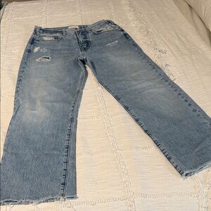 Frame Le Jane Crop Denim Light Blue Distressed Cropped Leg Jeans